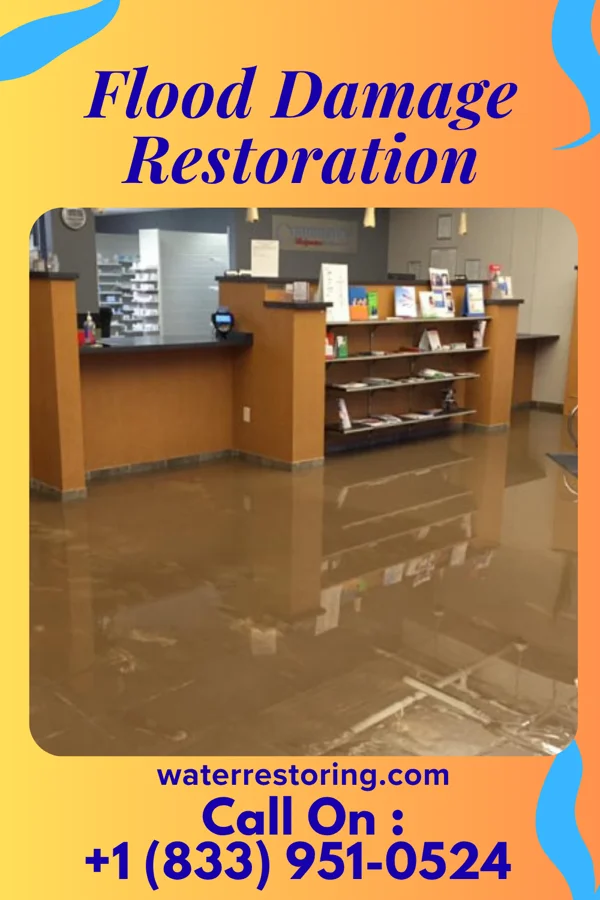Flood Damage Restoration in Mililani Mauka, HI