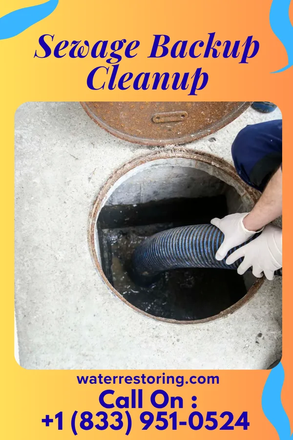 Sewage Backup Cleanup in Mililani Mauka, HI