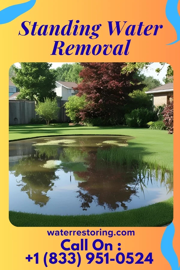 Standing Water Removal in Mililani Mauka, HI